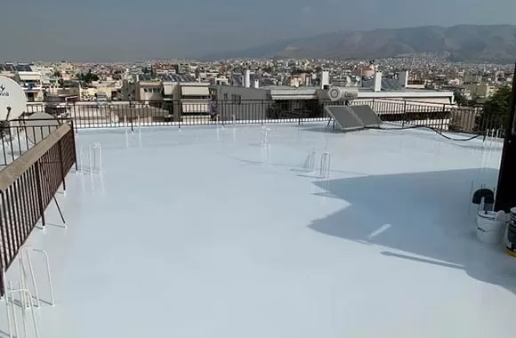 cat_sintirisi